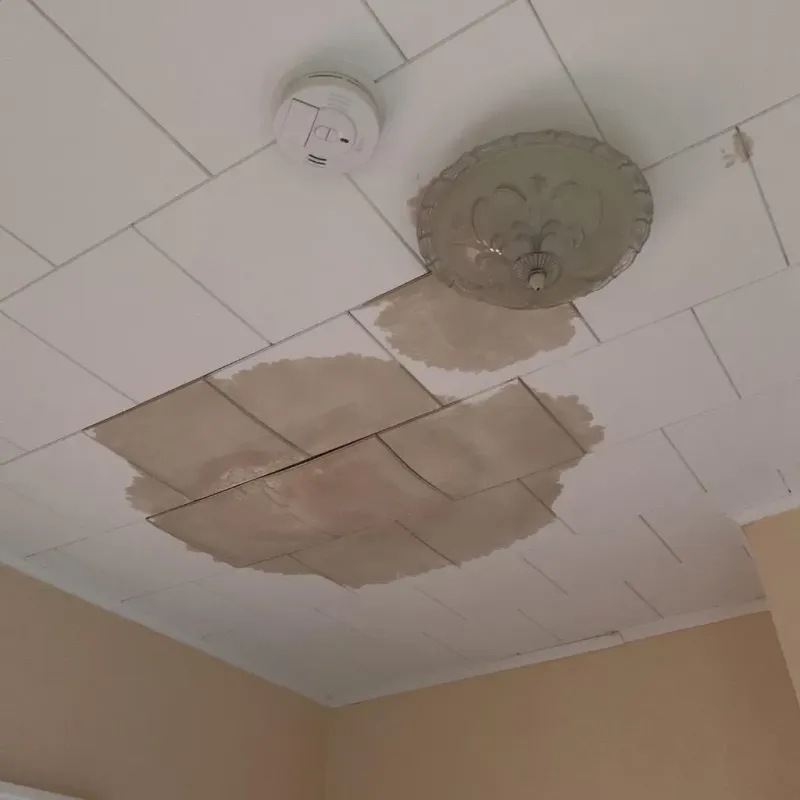 Ceiling Water Damage Repair in Marshalltown, IA