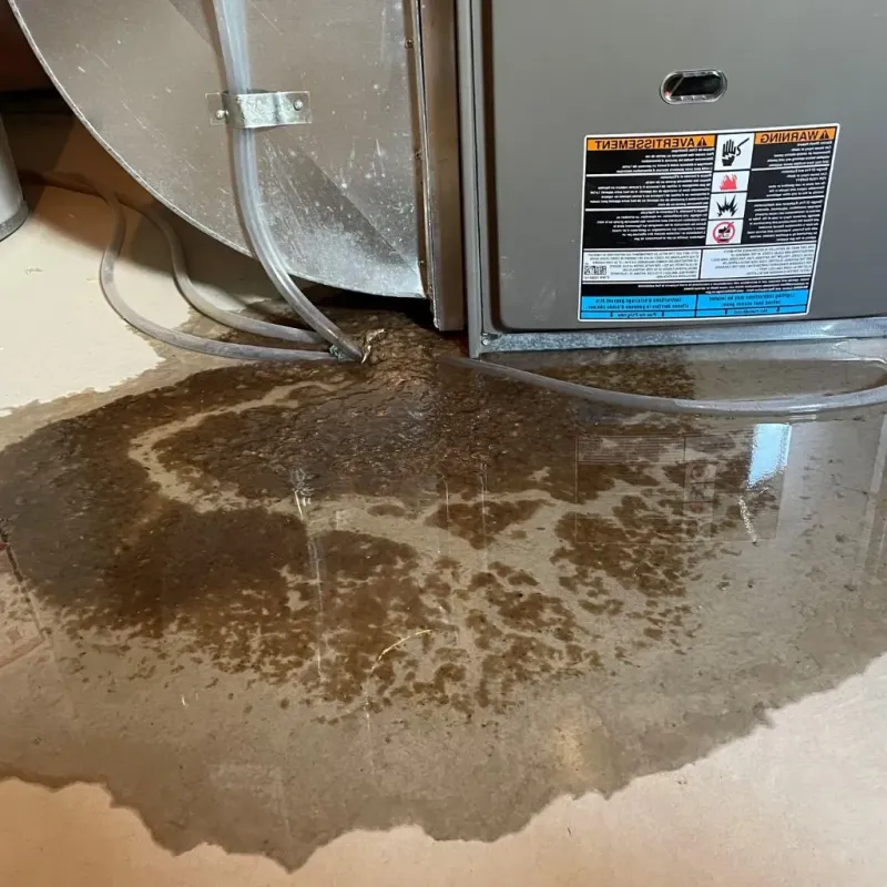 Pipe Burst and Leak Restoration in Marshalltown, IA